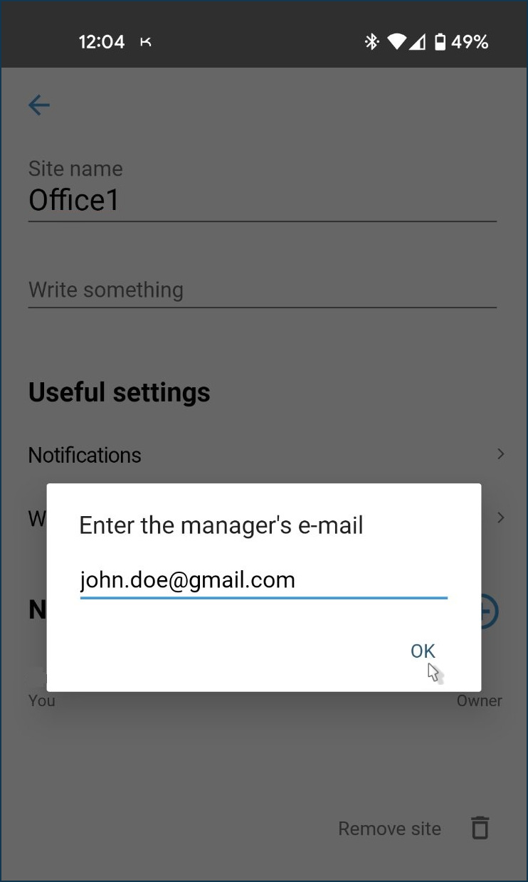 manager 3 en.jpg