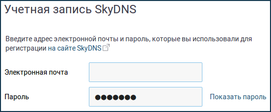 skydns-09.png